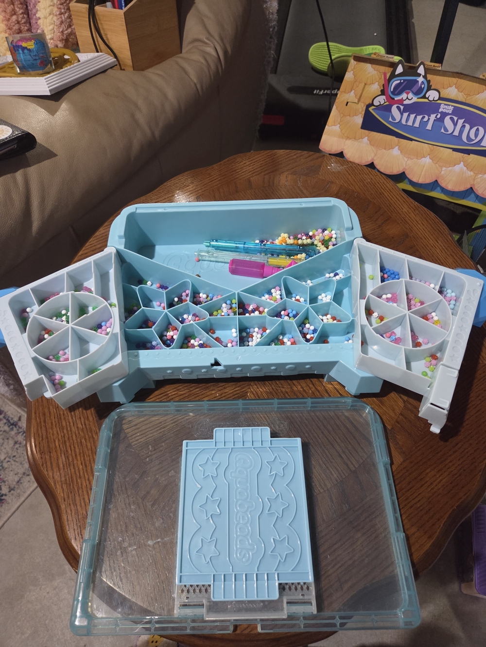 Aquabeada Storage Organizer Case